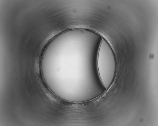 X0000102360345200808011004