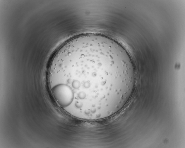 X0000102360346200808011004
