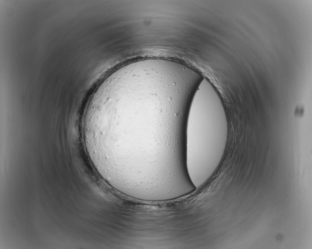 X0000102360347200808011004