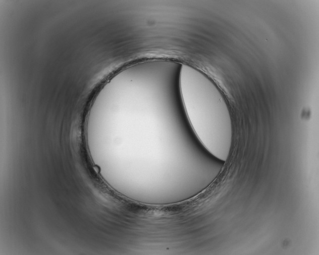 X0000102360348200808011005