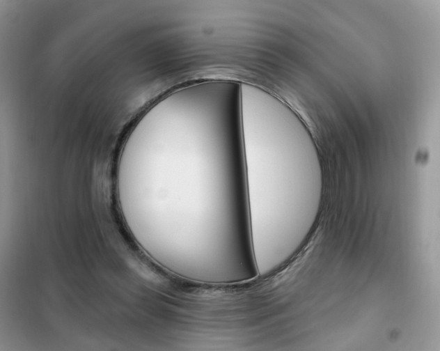 X0000102360349200808011005