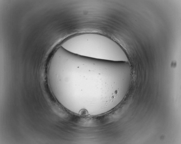 X0000102360351200808011005