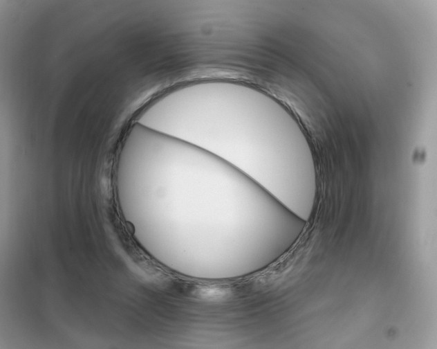 X0000102360352200808011005