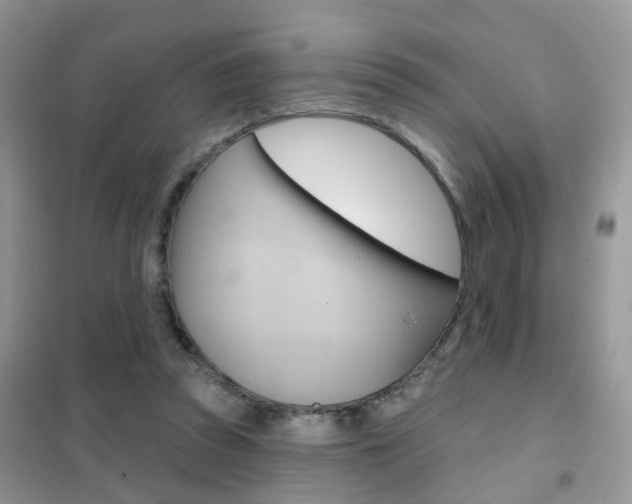 X0000102360353200808011005