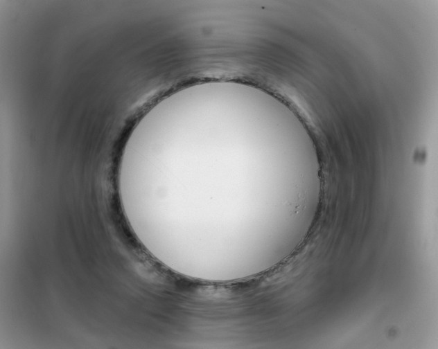 X0000102360354200808011005
