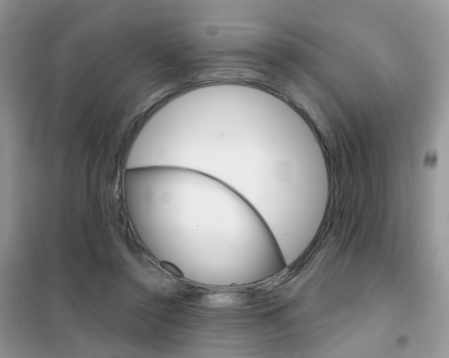 X0000102360356200808011005