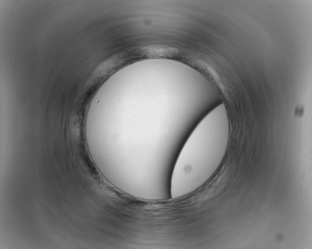 X0000102360357200808011005