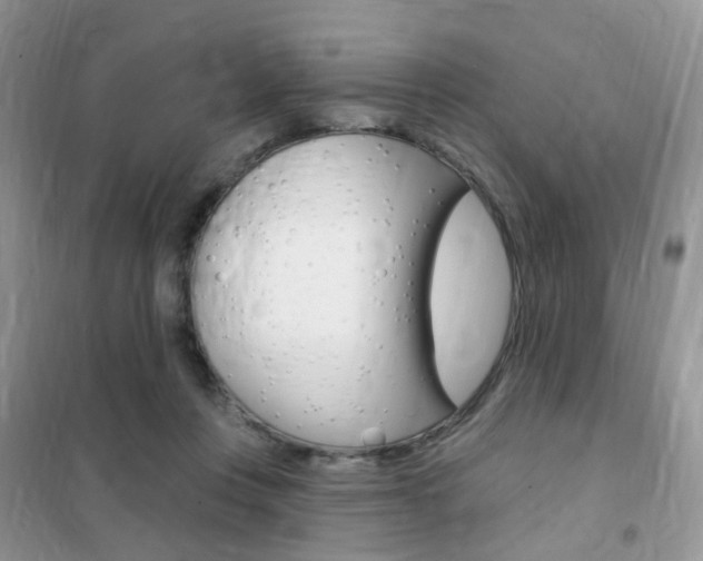 X0000102360359200808011005
