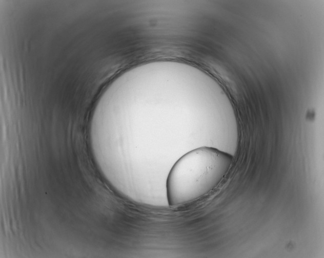 X0000102360362200808011005