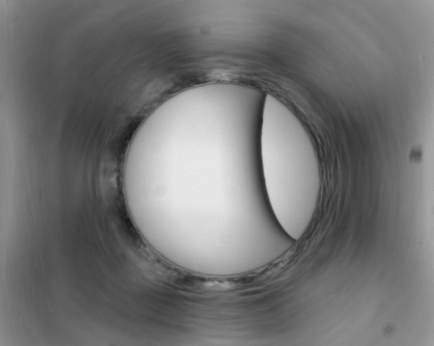 X0000102360363200808011005