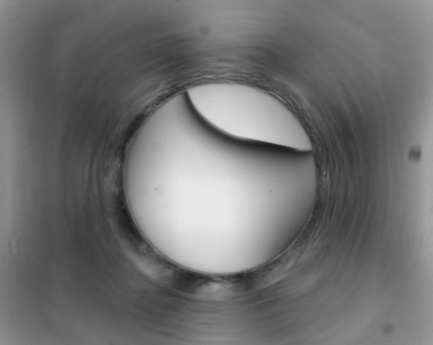 X0000102360364200808011005