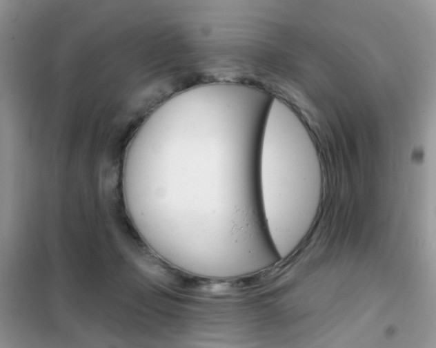 X0000102360365200808011005