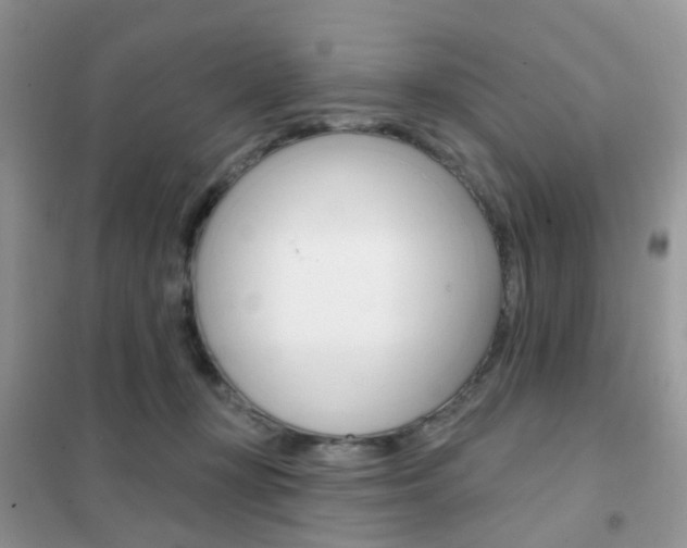 X0000102360367200808011005
