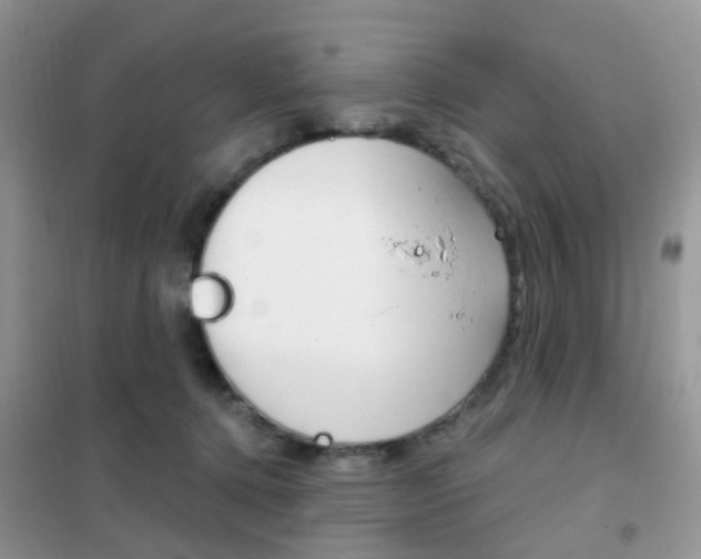 X0000102360368200808011005