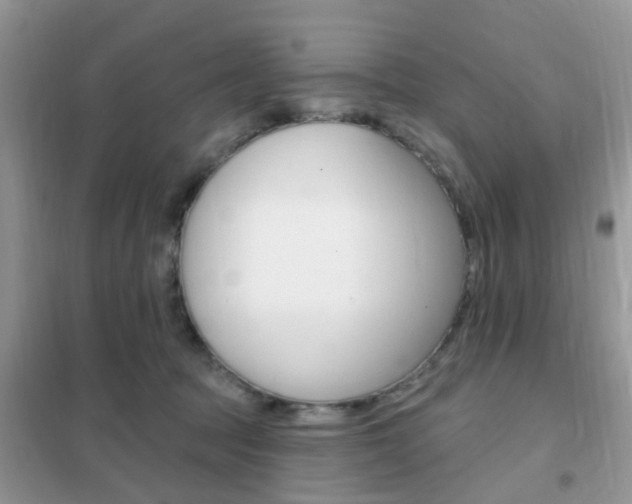 X0000102360369200808011005