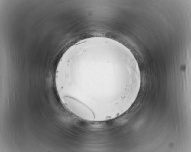 X0000102360370200808011005