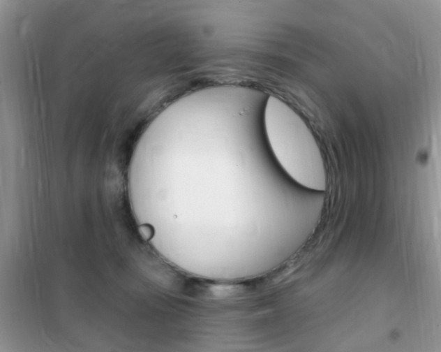 X0000102360371200808011005