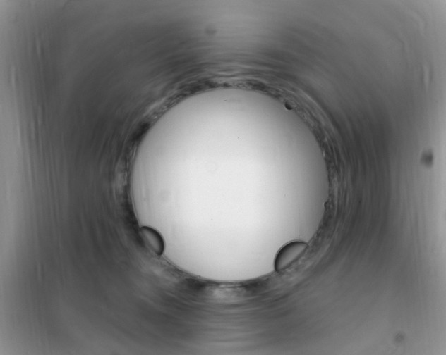 X0000102360372200808011005