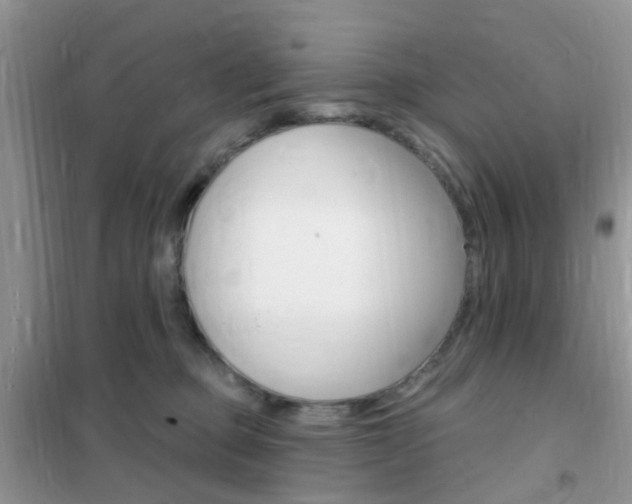 X0000102360373200808011005