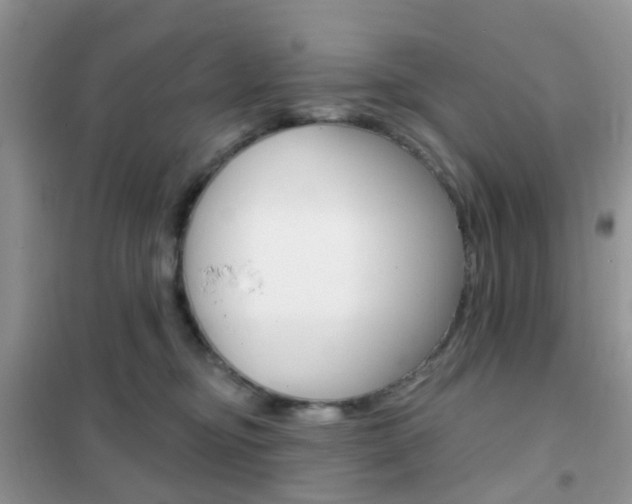 X0000102360374200808011005