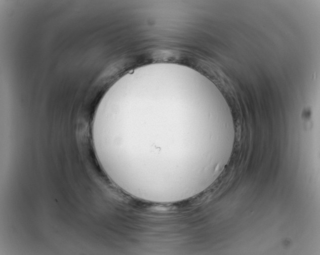 X0000102360375200808011005