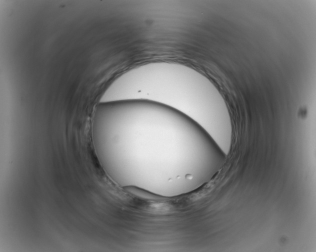 X0000102360376200808011005