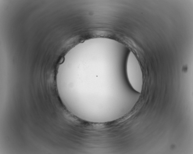 X0000102360377200808011005