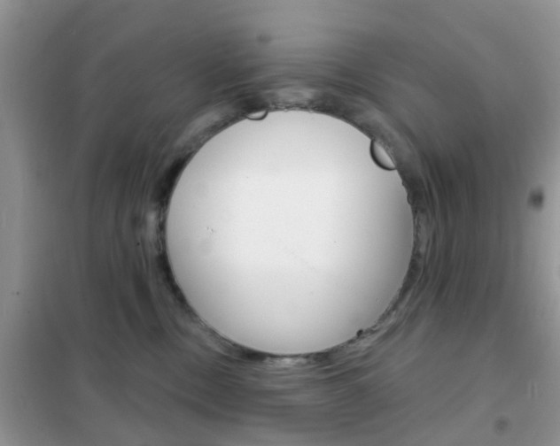 X0000102360378200808011005