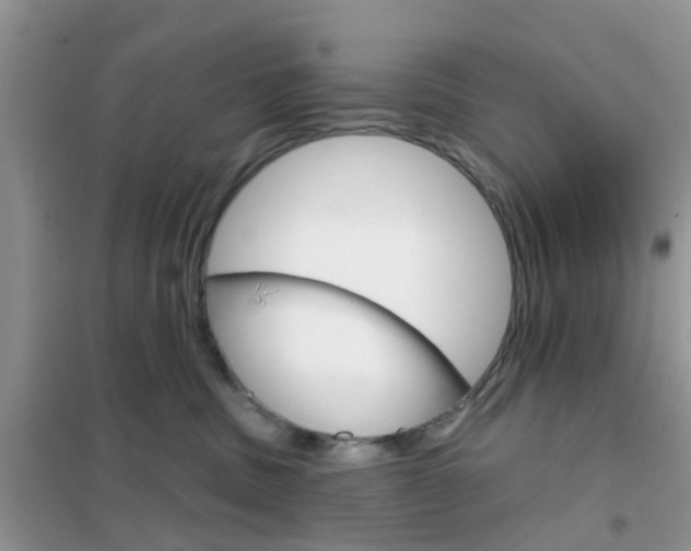 X0000102360379200808011005