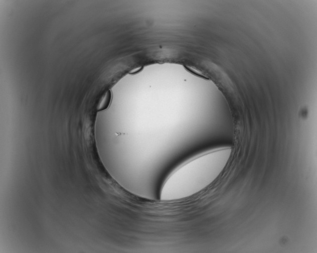 X0000102360380200808011005