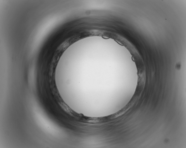 X0000102360381200808011005