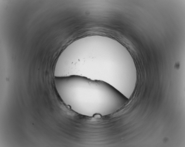 X0000102360382200808011005
