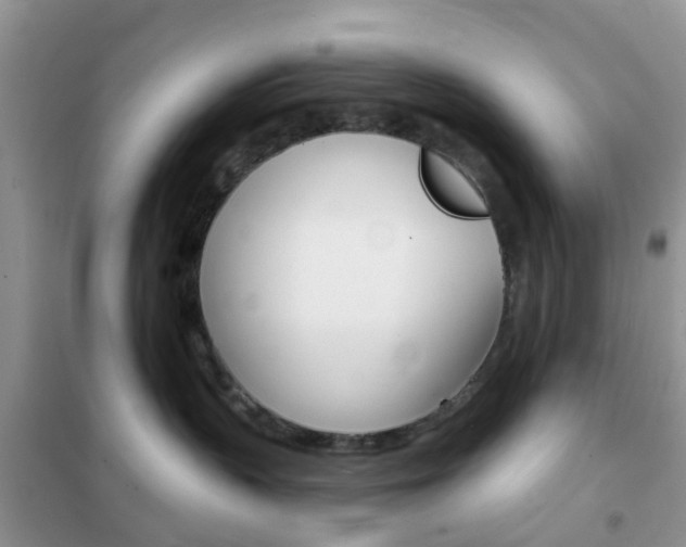 X0000102360383200808011005