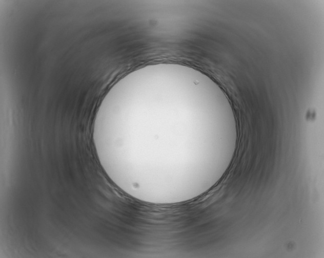X0000102360384200808011005