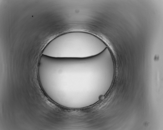 X0000102360385200808011004