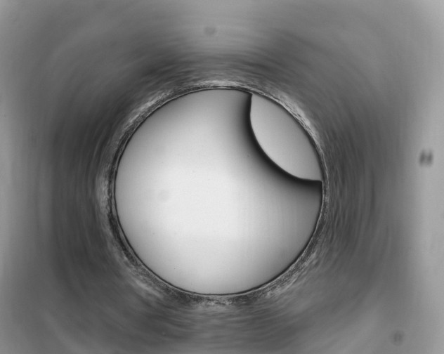 X0000102360386200808011004
