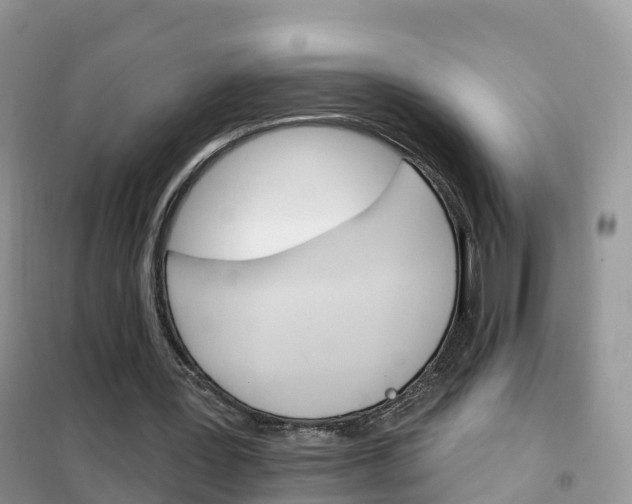 X0000102360387200808011004