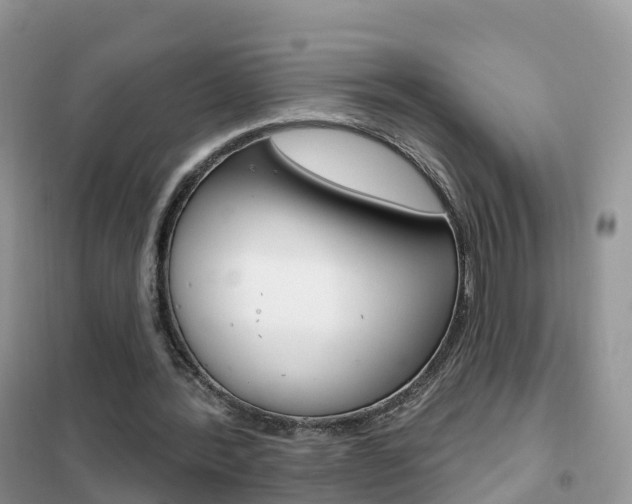 X0000102360388200808011004