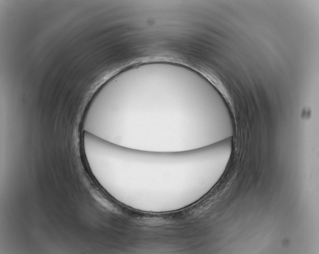 X0000102360389200808011004