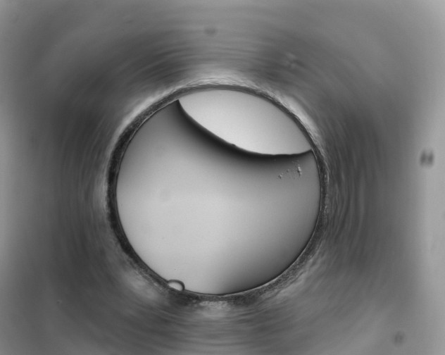 X0000102360391200808011004