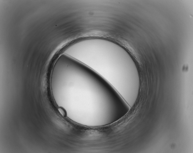 X0000102360392200808011004