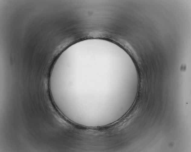 X0000102360393200808011004