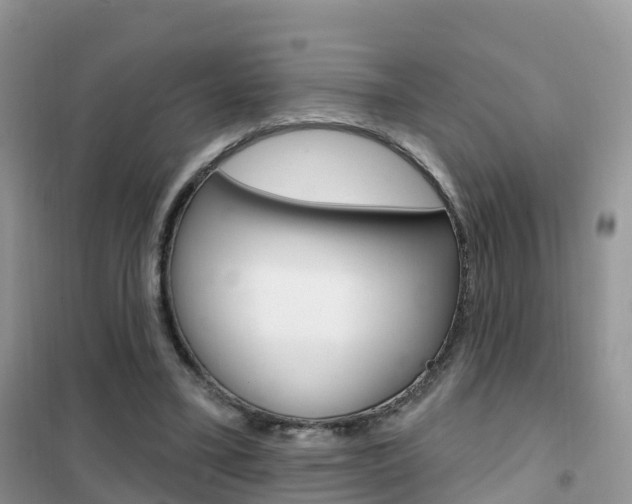 X0000102360395200808011004
