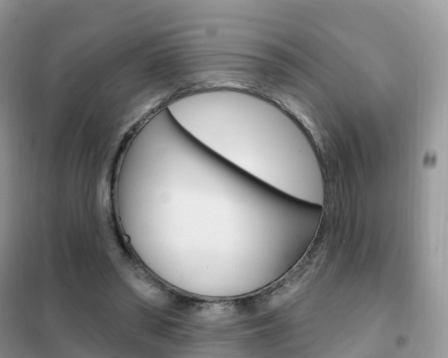 X0000102360398200808011004