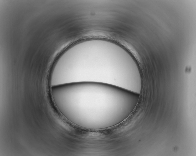 X0000102360399200808011004