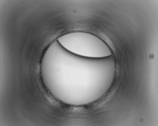 X0000102360401200808011004