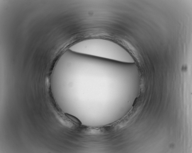 X0000102360405200808011004