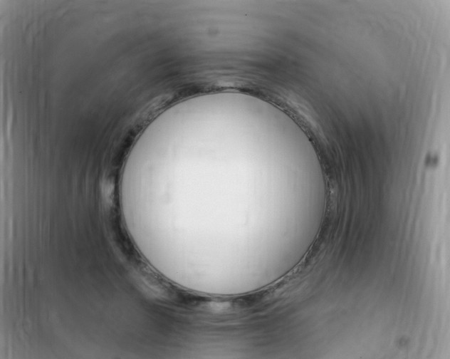 X0000102360406200808011004
