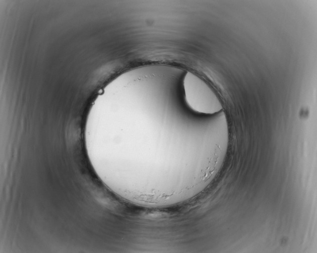 X0000102360407200808011004