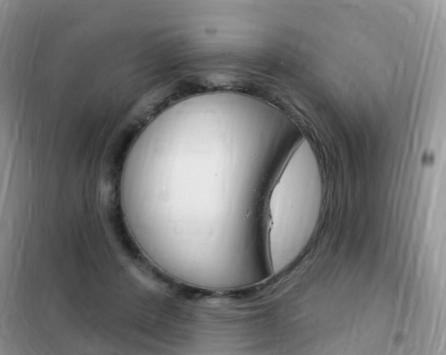 X0000102360408200808011004
